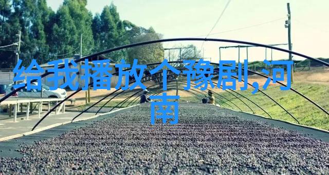通许县豫剧团豫剧大河惊涛获河南文华剧目一等奖尉氏县豫剧团豫剧虢都遗恨获二等奖