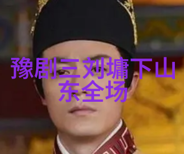 传承豫剧崔派艺术 弘扬中国戏曲文化