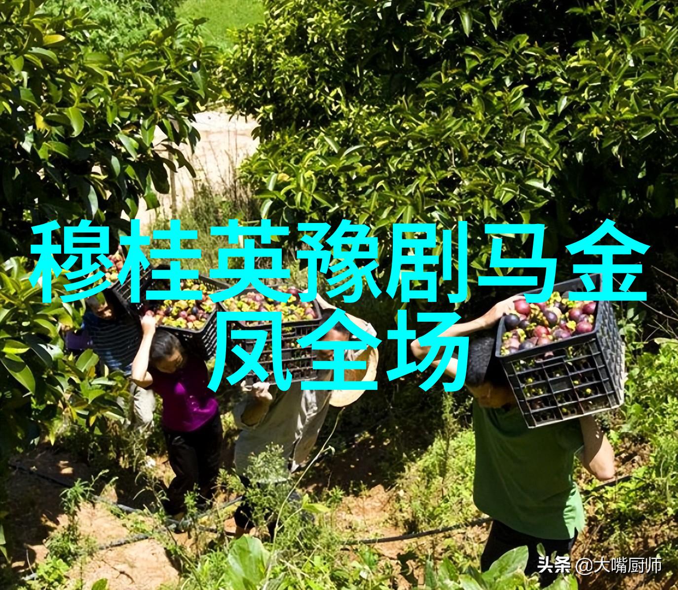 王海玲王桂仙