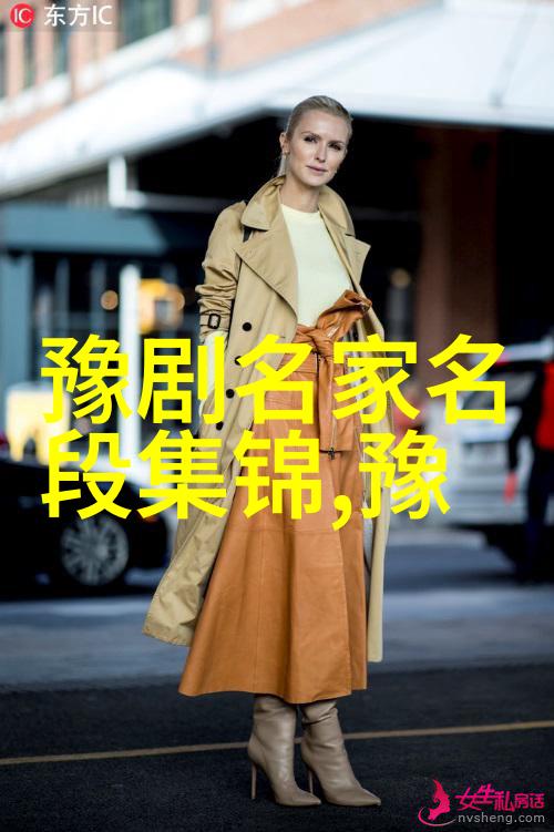 河南省豫剧一团来到正阳县彭桥乡演出抬花骄泪洒相思地